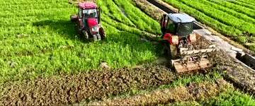 2024<strong></p>
<p>虚拟币获批</strong>,总书记同人民在一起|强农助振兴