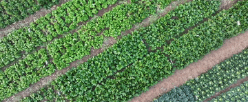 2024<strong></p>
<p>虚拟币获批</strong>,总书记同人民在一起|强农助振兴