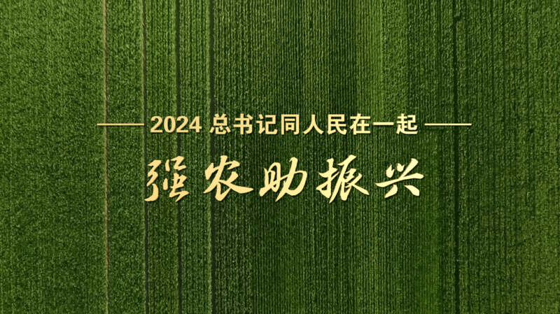 2024<strong></p>
<p>虚拟币获批</strong>,总书记同人民在一起|强农助振兴