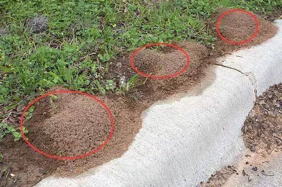 小心<strong></p>
<p>虚拟币获批</strong>!毒性强!福州又发现了!千万别碰