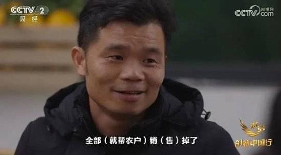 2024年末央视再度专访钟睒睒<strong></p>
<p>虚拟币群主</strong>,背后有何深意?