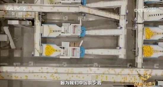 2024年末央视再度专访钟睒睒<strong></p>
<p>虚拟币群主</strong>,背后有何深意?