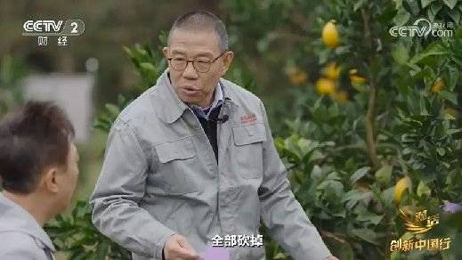 2024年末央视再度专访钟睒睒<strong></p>
<p>虚拟币群主</strong>,背后有何深意?