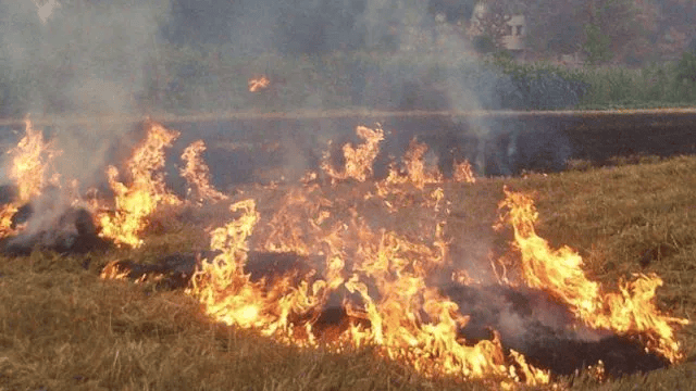 唐山各乡镇、村落一律禁止<strong></p>
<p>淘币虚拟币</strong>!多名村民被罚