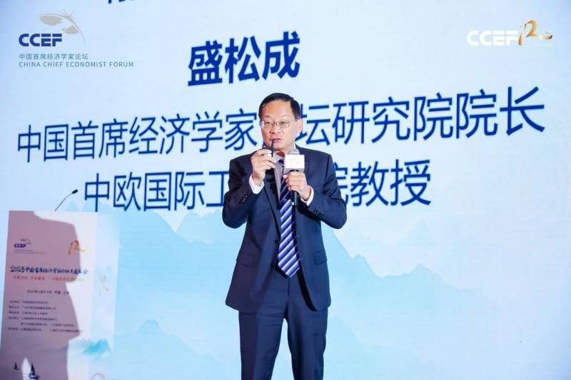 中国首席经济学家论坛研究院院长盛松成：增加收入是促消费的关键