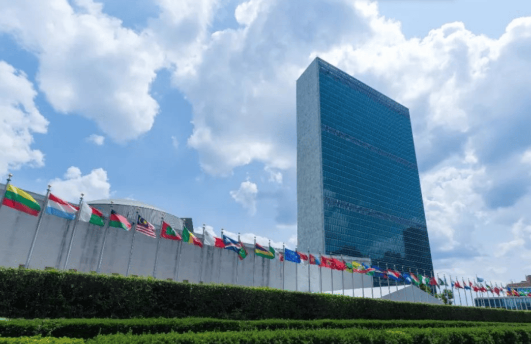 最后48小时<strong></p>
<p>虚拟币老板</strong>，中方缴清全部会费，未来3年还要缴更多，联合国致谢