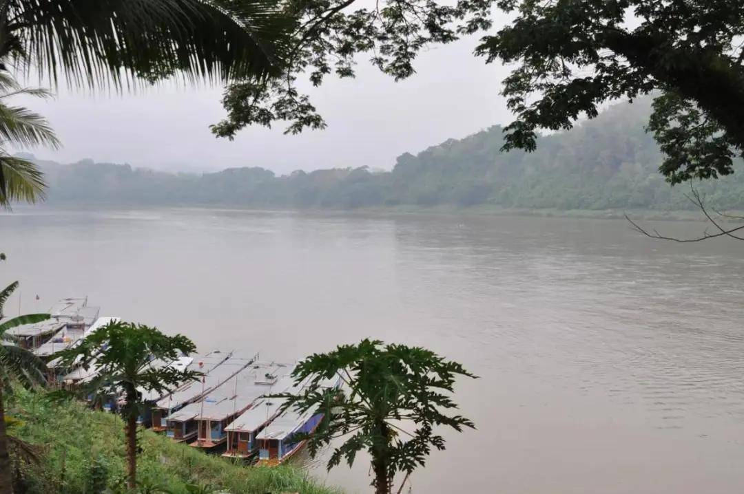 俄罗斯警钟敲响！中国需提防越南老挝柬埔寨<strong></p>
<p>虚拟币om</strong>，三国是否会成“白眼狼”？