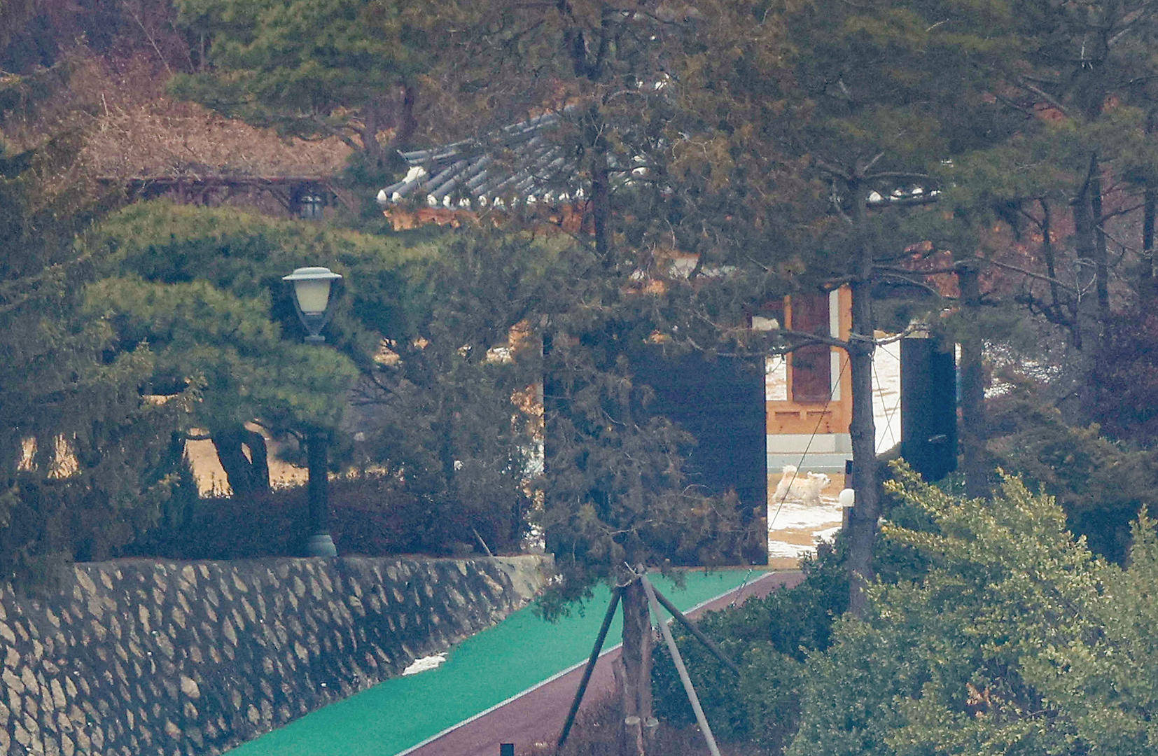 韩议员:金建希仍在总统官邸<strong></p>
<p>虚拟币脑词</strong>,“脸色很难看”,尹锡悦说她最近“吃不下东西”