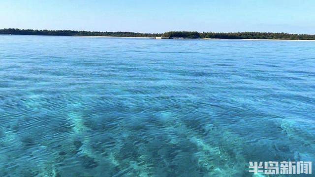 青岛女子买下70万平米小岛后续来了:目前没打算私有<strong></p>
<p>虚拟币脑词</strong>,七八月份将带员工到岛上团建