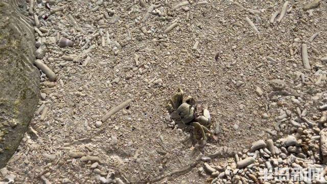 青岛女子买下70万平米小岛后续来了:目前没打算私有<strong></p>
<p>虚拟币脑词</strong>,七八月份将带员工到岛上团建