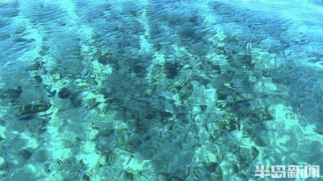 青岛女子买下70万平米小岛后续来了:目前没打算私有<strong></p>
<p>虚拟币脑词</strong>,七八月份将带员工到岛上团建