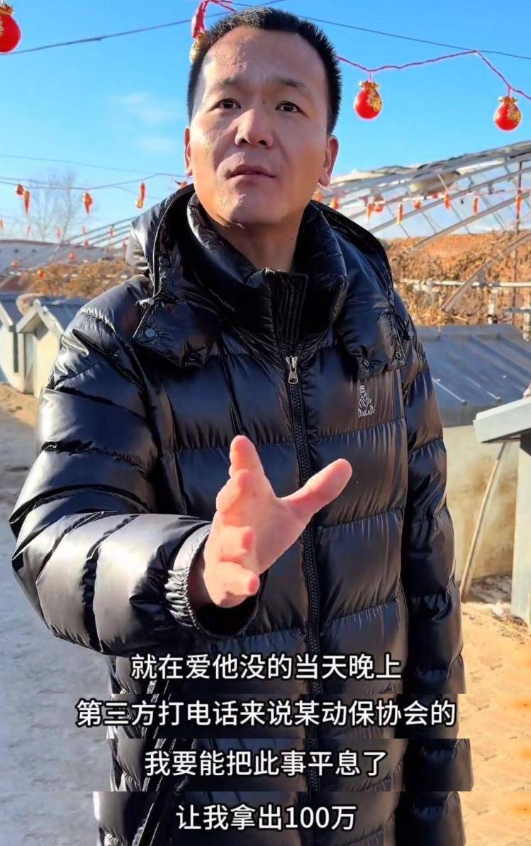 千万粉丝训犬师网红潘宏账号内容被一夜清空<strong></p>
<p>TN虚拟币</strong>,园区所在地官方:正调查
