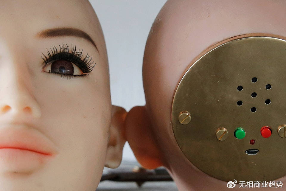 性机器人时代<strong></p>
<p>TN虚拟币</strong>,来了