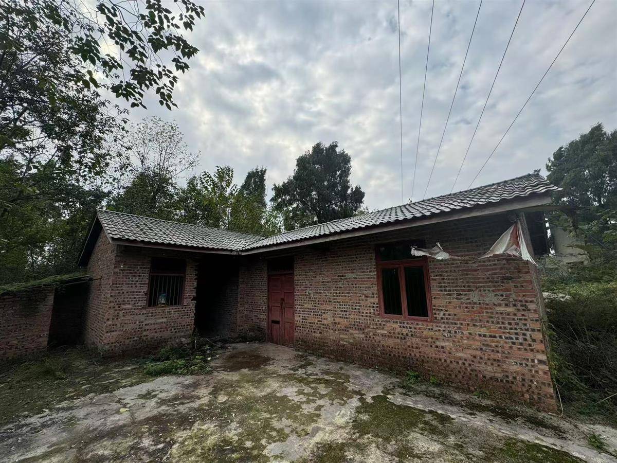 余华英被执行死刑，户籍地村民听闻后：执行得好