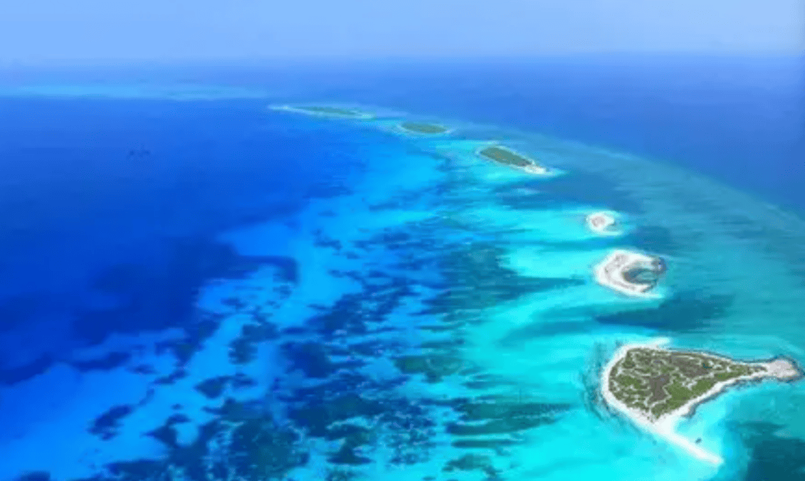 杜特尔特专机连夜起飞<strong></p>
<p>太原虚拟币</strong>，一觉醒来，父女俩已现身香港，马科斯发觉晚了