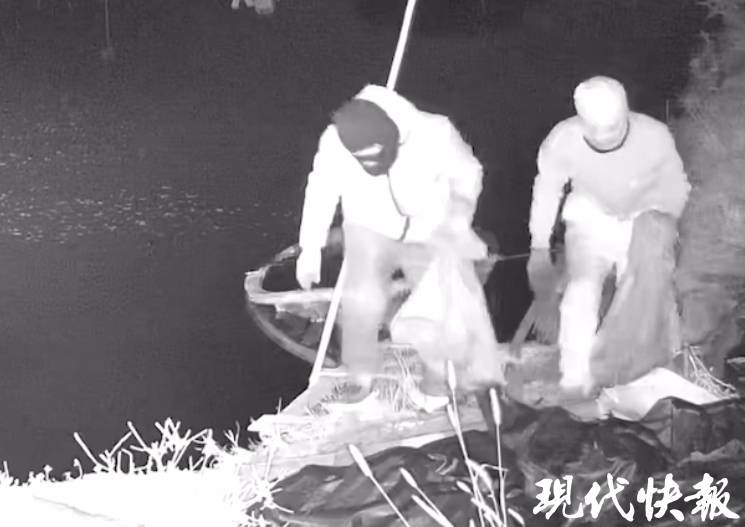 两人戴头套夜偷大闸蟹<strong></p>
<p>太原虚拟币</strong>,被抓时纳闷:怎么认出来的?