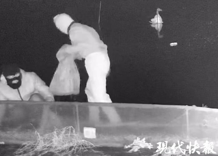 两人戴头套夜偷大闸蟹<strong></p>
<p>太原虚拟币</strong>,被抓时纳闷:怎么认出来的?