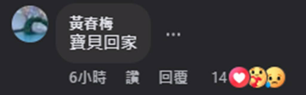 S妈分享AI大S视频 表示:<strong></p>
<p>虚拟币宝典</strong>我女儿回来了