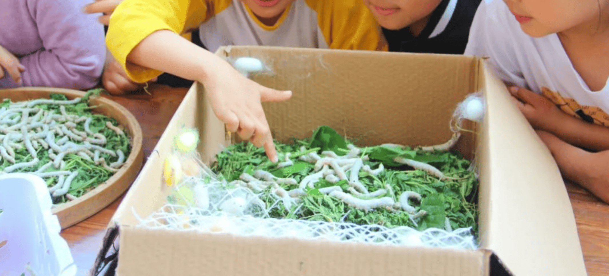 一年卖出1亿条虫!迷倒全国“10后”的小生意<strong></p>
<p>虚拟币配权</strong>,有人年入千万