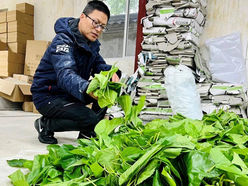 一年卖出1亿条虫!迷倒全国“10后”的小生意<strong></p>
<p>虚拟币配权</strong>,有人年入千万