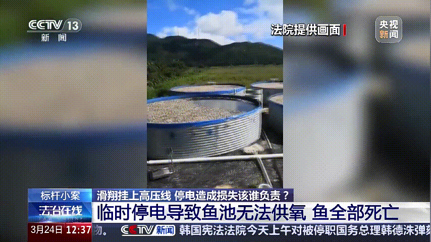 深圳女子被挂高压线!停电救援<strong></p>
<p>蜜蜂虚拟币</strong>,9池鱼死光!他怒上法庭……