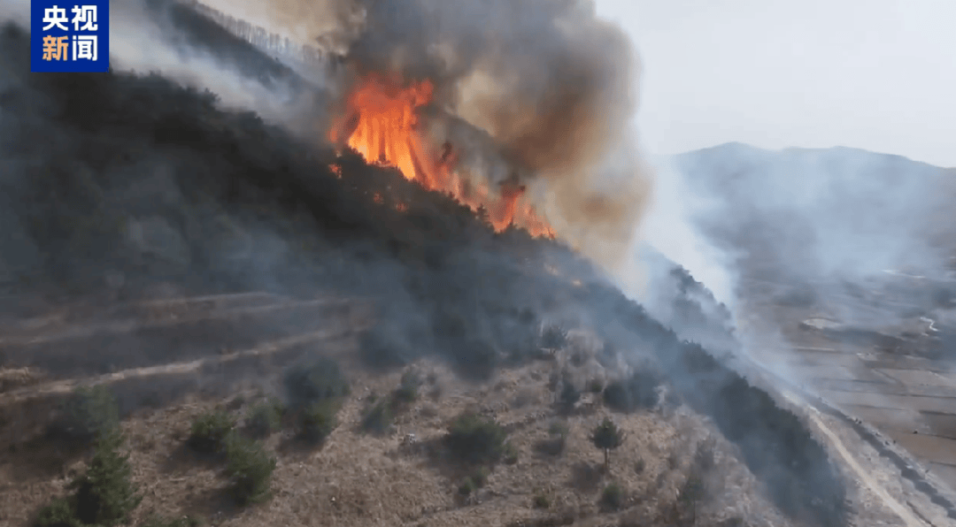 山西发生一起火情<strong></p>
<p>蜜蜂虚拟币</strong>！最新消息：纵火人员已被抓获