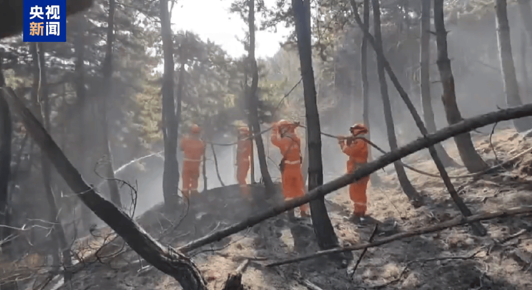 山西发生一起火情<strong></p>
<p>蜜蜂虚拟币</strong>！最新消息：纵火人员已被抓获