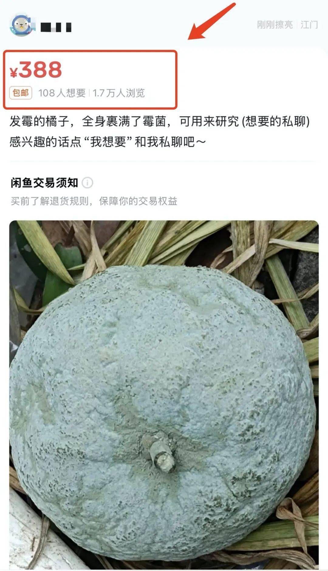 突然火了<strong></p>
<p>虚拟币台币</strong>！有人卖500元一个！网友：后悔扔了……