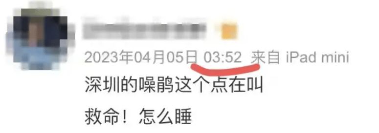 “周末想睡个懒觉都不行”<strong></p>
<p>TG虚拟币</strong>，有多少深圳人被这种鸟吵到神经衰弱