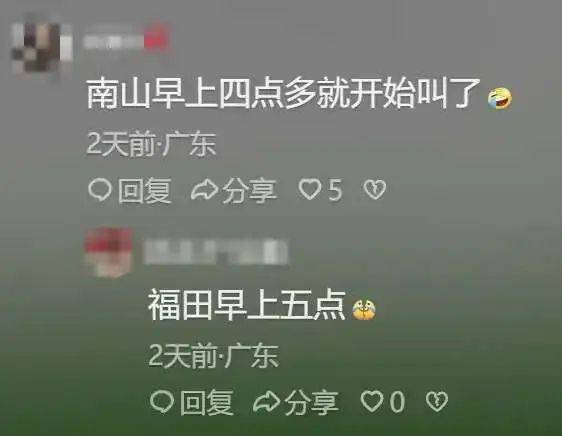 “周末想睡个懒觉都不行”<strong></p>
<p>TG虚拟币</strong>，有多少深圳人被这种鸟吵到神经衰弱