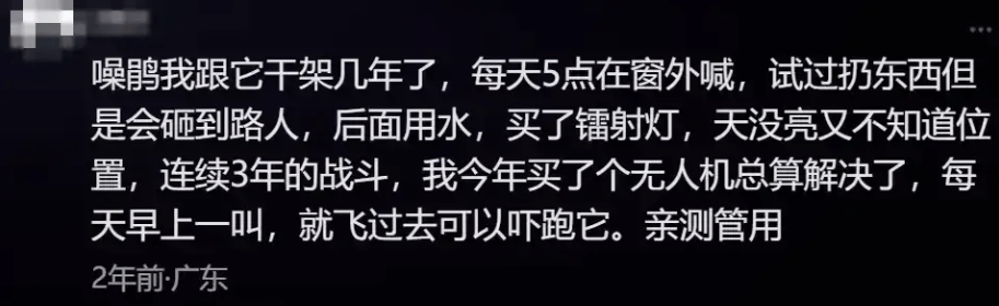 “周末想睡个懒觉都不行”<strong></p>
<p>TG虚拟币</strong>，有多少深圳人被这种鸟吵到神经衰弱