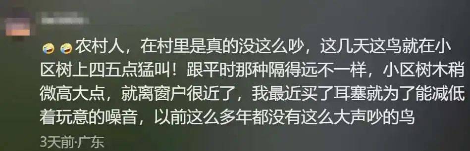 “周末想睡个懒觉都不行”<strong></p>
<p>TG虚拟币</strong>，有多少深圳人被这种鸟吵到神经衰弱