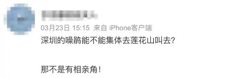 “周末想睡个懒觉都不行”<strong></p>
<p>TG虚拟币</strong>，有多少深圳人被这种鸟吵到神经衰弱