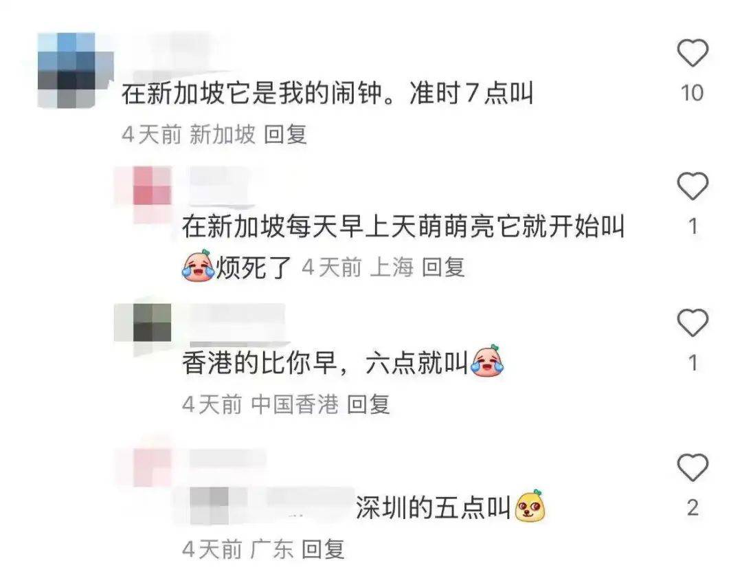 “周末想睡个懒觉都不行”<strong></p>
<p>TG虚拟币</strong>，有多少深圳人被这种鸟吵到神经衰弱