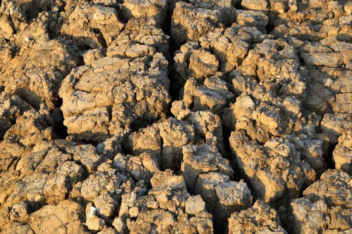 中美关系大变？中方断供后<strong></p>
<p>鹤壁虚拟币</strong>，美军全军种遭重创，释放信号强烈