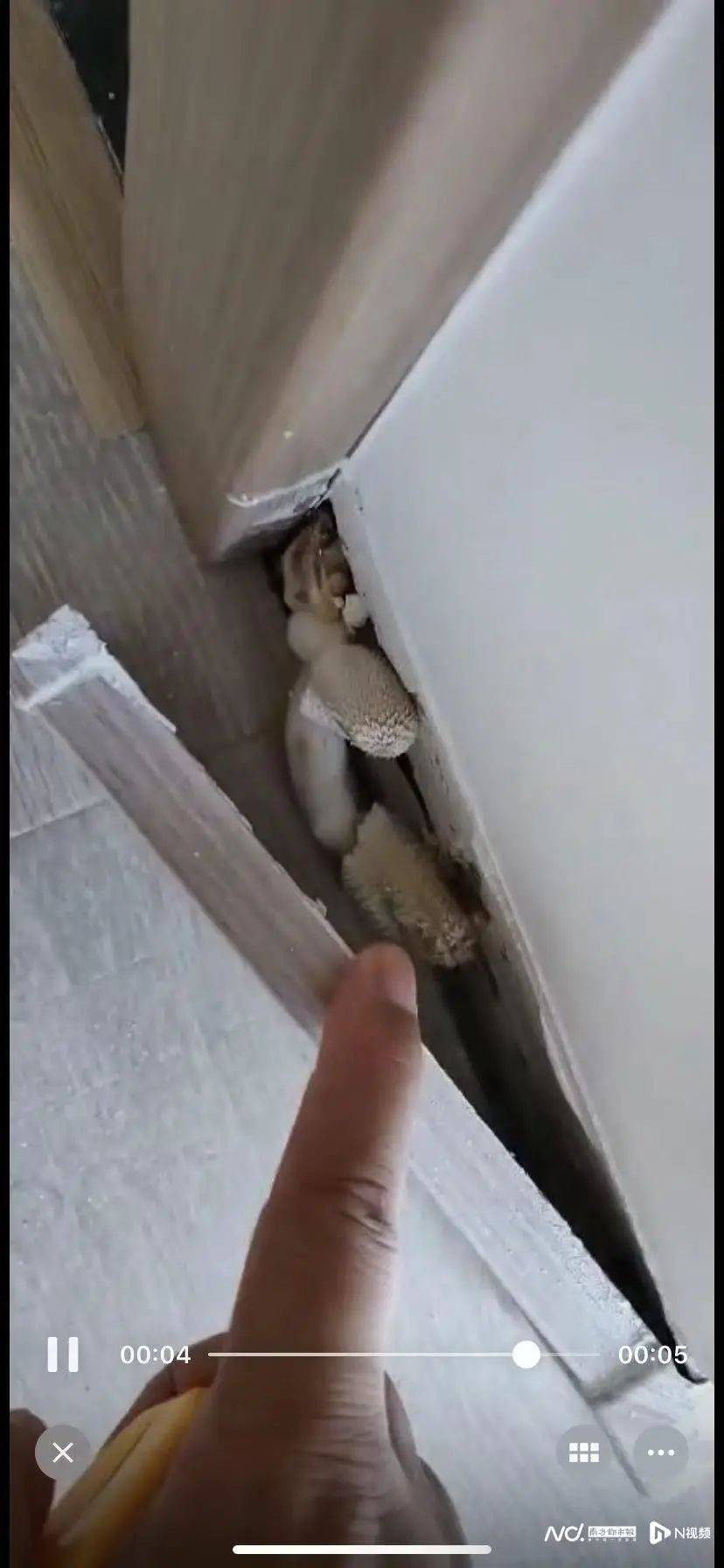 “深更半夜<strong></p>
<p>鹤壁虚拟币</strong>,又掉一大块下来”!广东一小区业主怒了