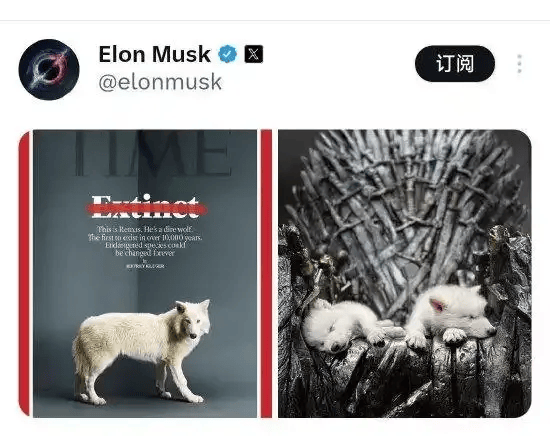 《权力的游戏》中的冰原狼被这家公司复活<strong></p>
<p>虚拟币LT</strong>，马斯克发帖关注