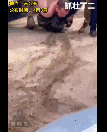 泽连斯基:乌军死亡10万<strong></p>
<p>虚拟币故事</strong>,850万人外逃!乌克兰还能挤出多少兵?