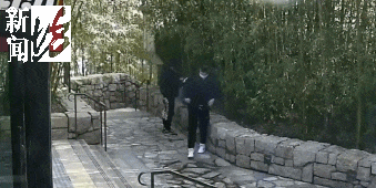 太猖狂!事发上海迪士尼<strong></p>
<p>极域虚拟币</strong>,7人被刑拘