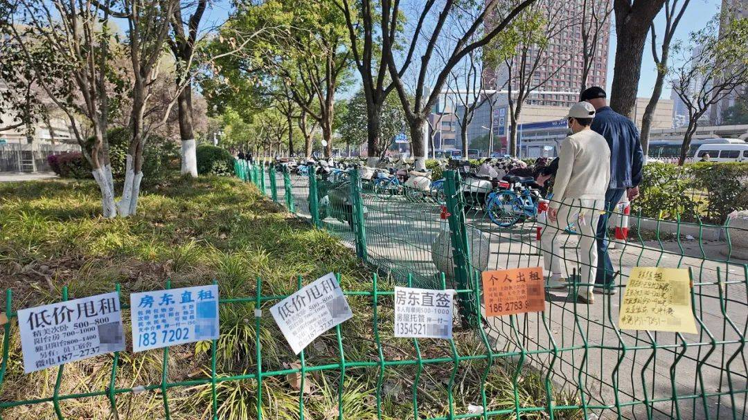 一二线城市房租普降<strong></p>
<p>极域虚拟币</strong>，房东主动降200留我