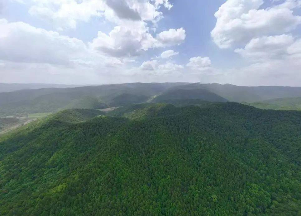 销声匿迹已有30年<strong></p>
<p>虚拟币贝壳</strong>，华北豹正逐渐接近北京——