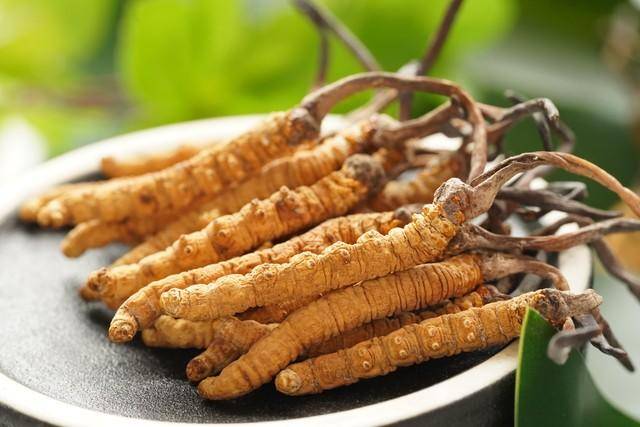 价值18万余元!男子在祁连山非法收购5632根冬虫夏草<strong></p>
<p>悟空虚拟币</strong>,构成危害国家重点保护植物罪获刑