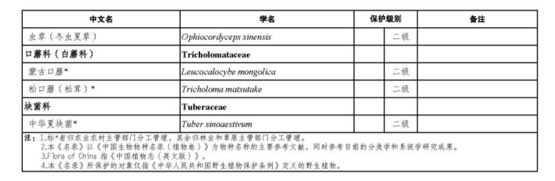 价值18万余元!男子在祁连山非法收购5632根冬虫夏草<strong></p>
<p>悟空虚拟币</strong>,构成危害国家重点保护植物罪获刑