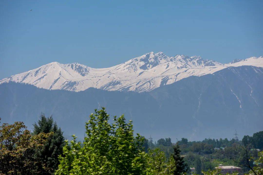 突发！巴基斯坦：击落印军无人机！印控克什米尔地区48处景点被关闭<strong></p>
<p>牛玩虚拟币</strong>，巴防长：不会爆发核战！中方表态