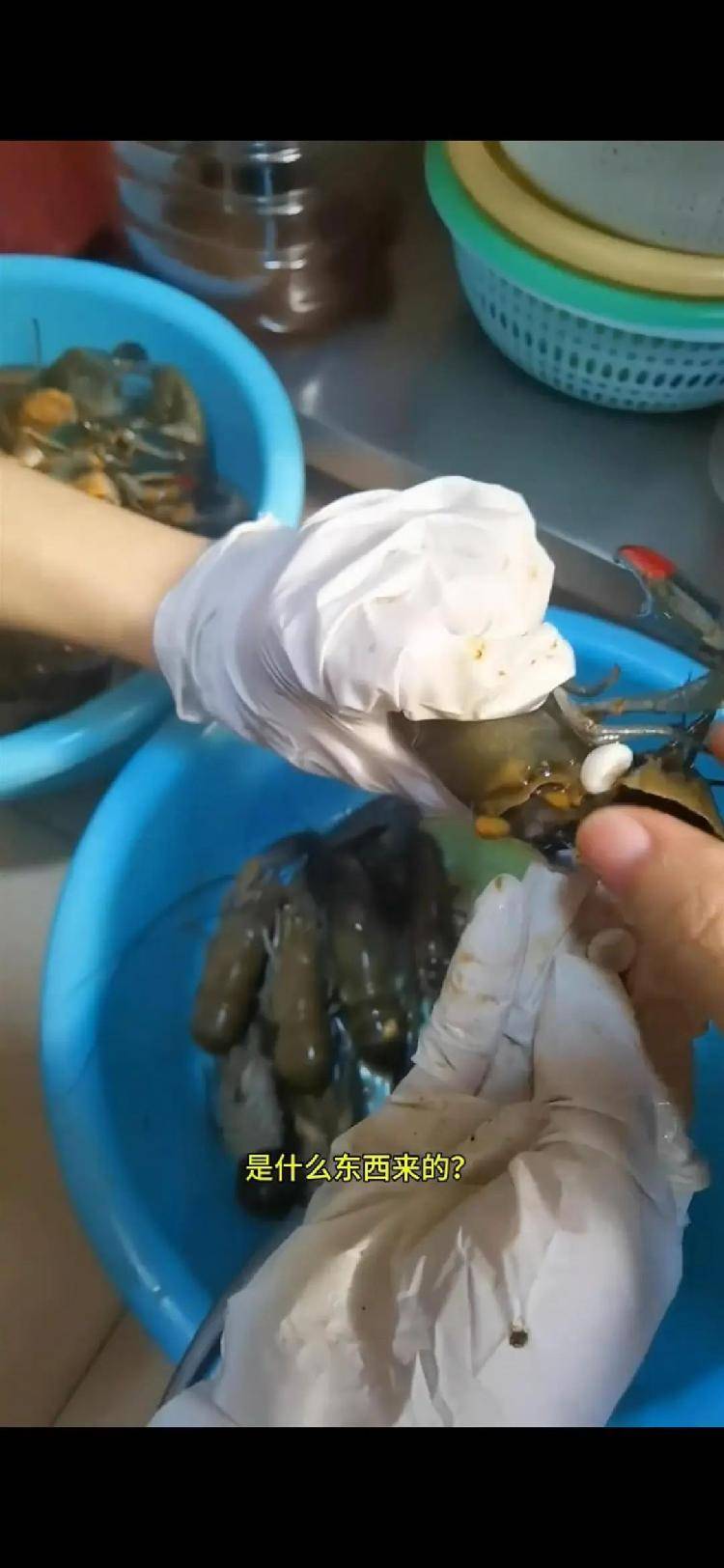 女子小龙虾里剥出多颗“龙珠”，专家解读其来历