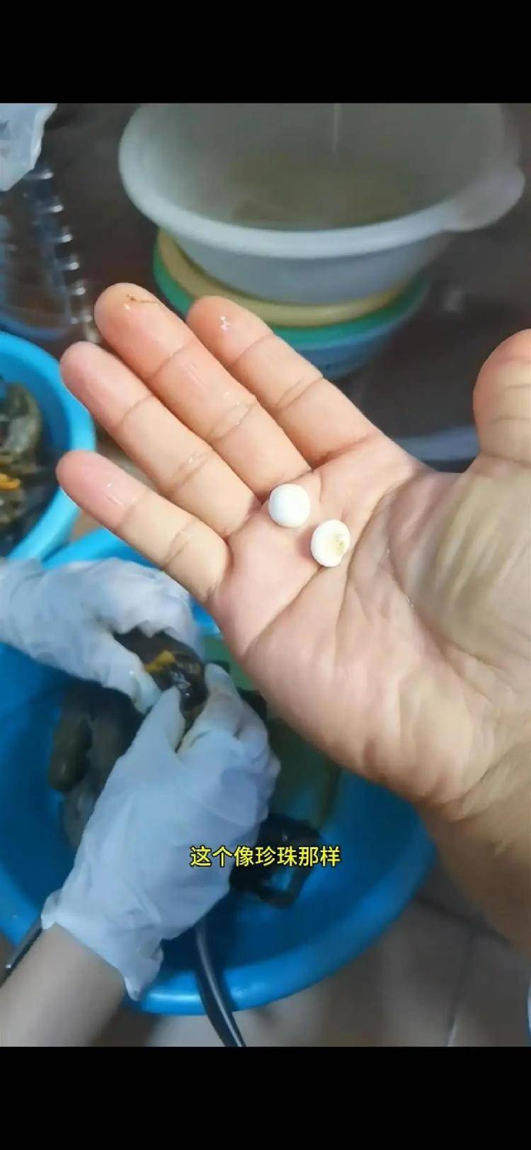 女子小龙虾里剥出多颗“龙珠”<strong></p>
<p>牛玩虚拟币</strong>，专家解读其来历