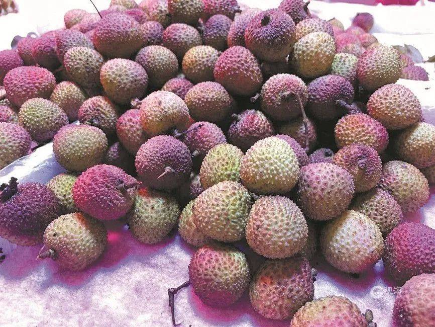 大跳水<strong></p>
<p>华润虚拟币</strong>,暴跌40%!老板:一天一个价,估计还要跌