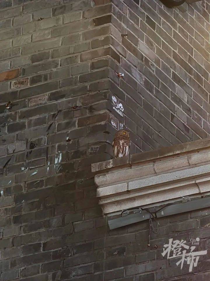 西湖边惊现“暗夜猎手”?网友拍下这一幕<strong></p>
<p>火链虚拟币</strong>,专家一眼认出