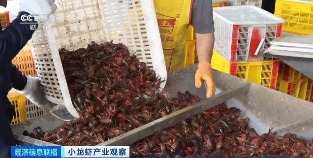 价格暴跌近50%<strong></p>
<p>北斗虚拟币</strong>！“接下来还会降”！青岛正大量上市……