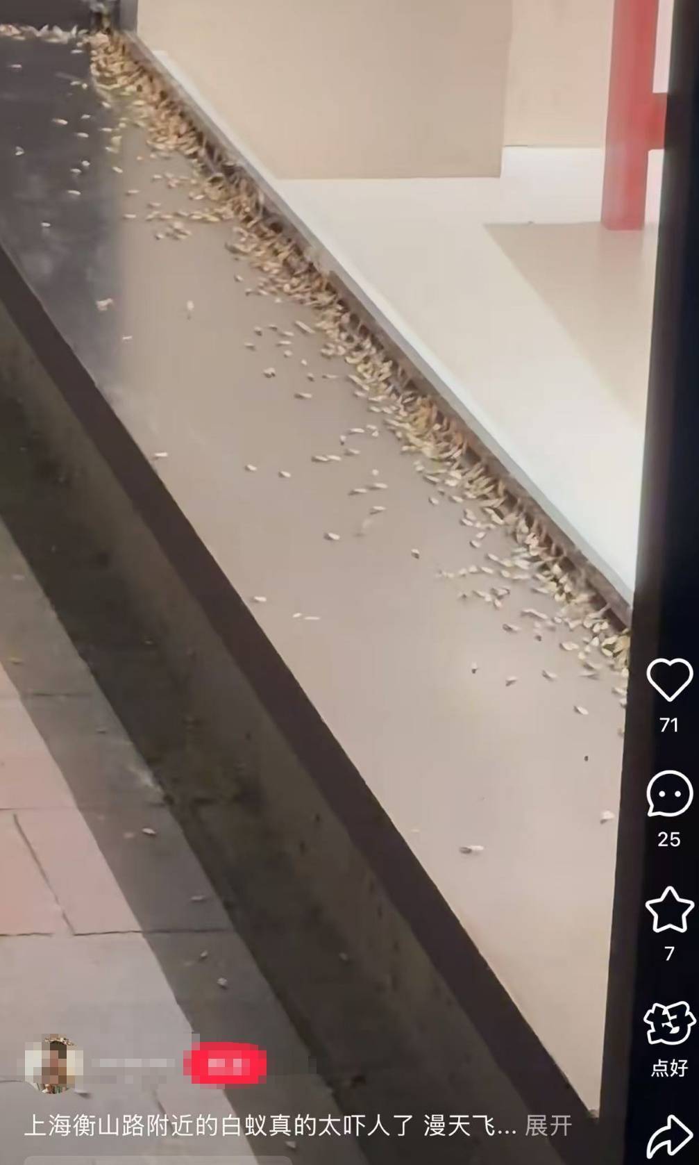 紧急提醒：瞬间爆发！上海市民崩溃：密密麻麻<strong></p>
<p>虚拟币版通</strong>，蠕蠕爬行...“梧桐区”已开始战斗，白蚁或提前分飞